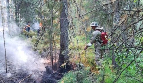 Пожарные из Новосибирска помогают соседнему региону бороться с огнём