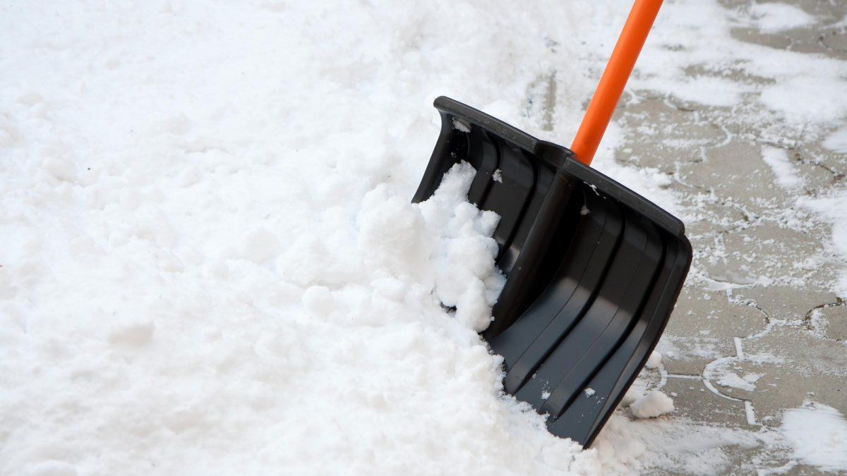 Новосибирская прокуратура начала проверку сообщения об инвалидах, чистивших снег