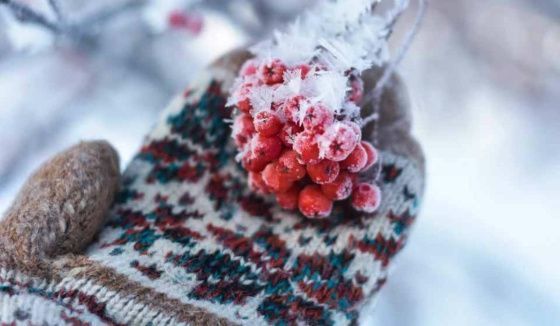 Морозы до - 40 градусов ожидаются в Новосибирске перед Крещением