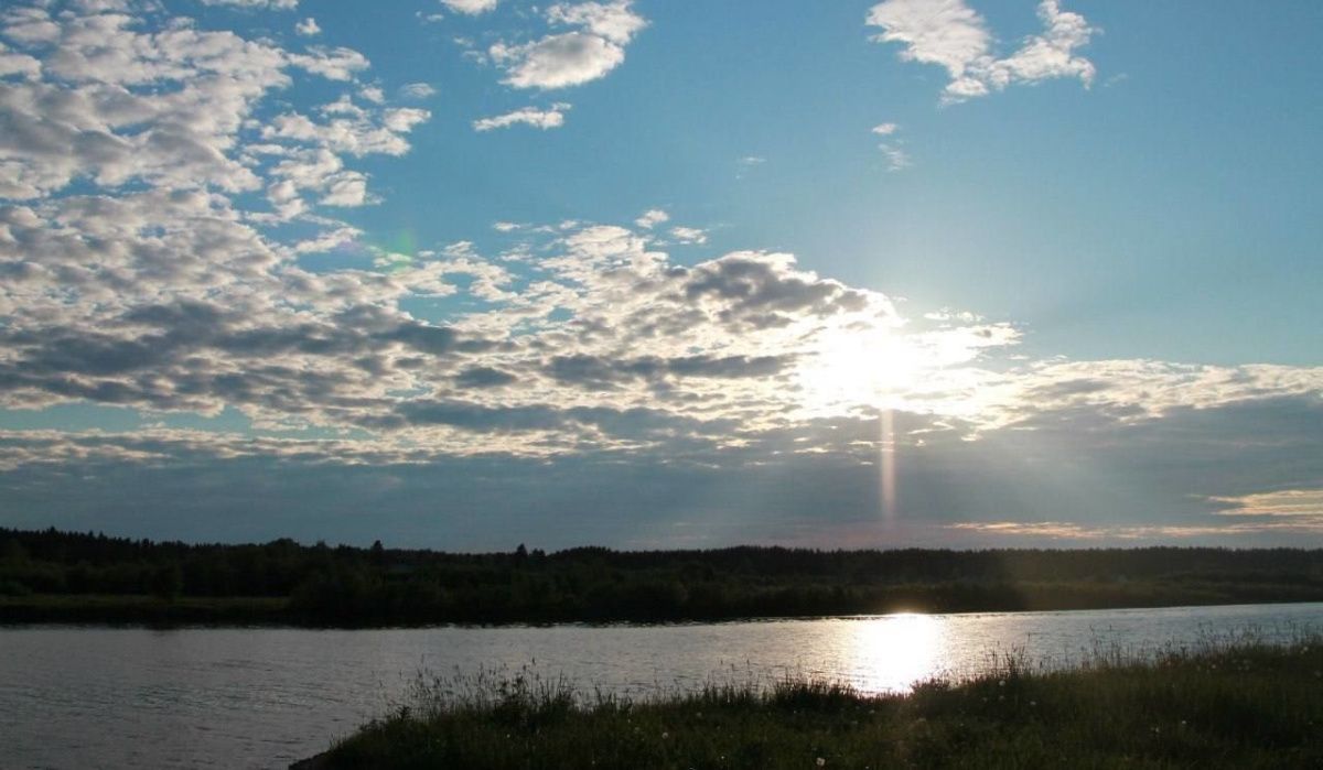 В Ленобласти создан новый заказник «Поддубно-Кусегский»