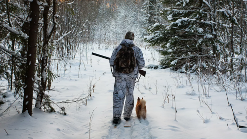 Двоих сотрудников новосибирской полиции подозревают в незаконной охоте