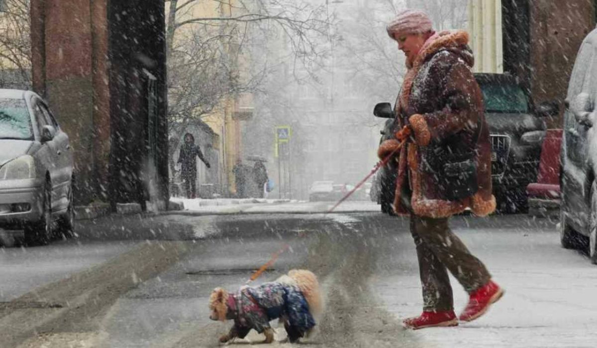 Желтый уровень погодной опасности объявлен в Петербурге