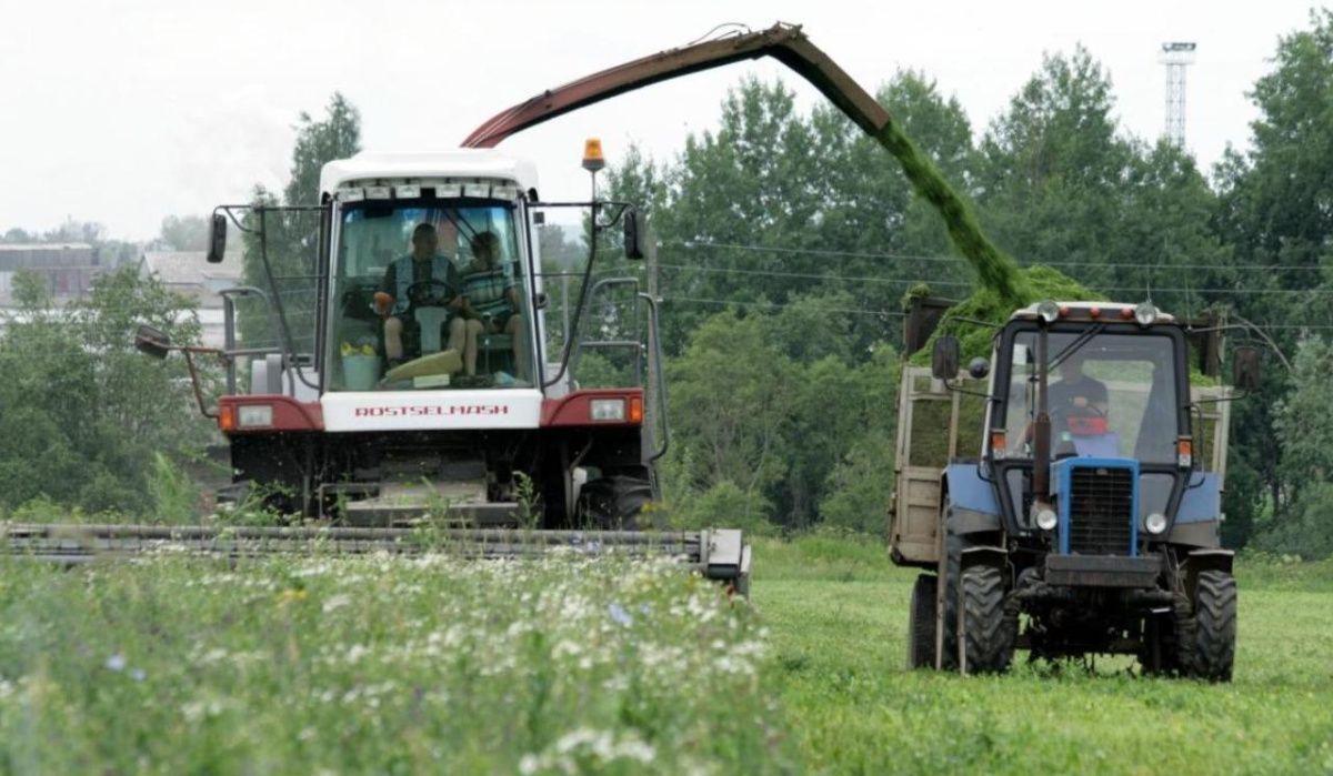 &quot;Птицефабрика Чайковская&quot; подвела предварительные итоги по заготовке ВТМ