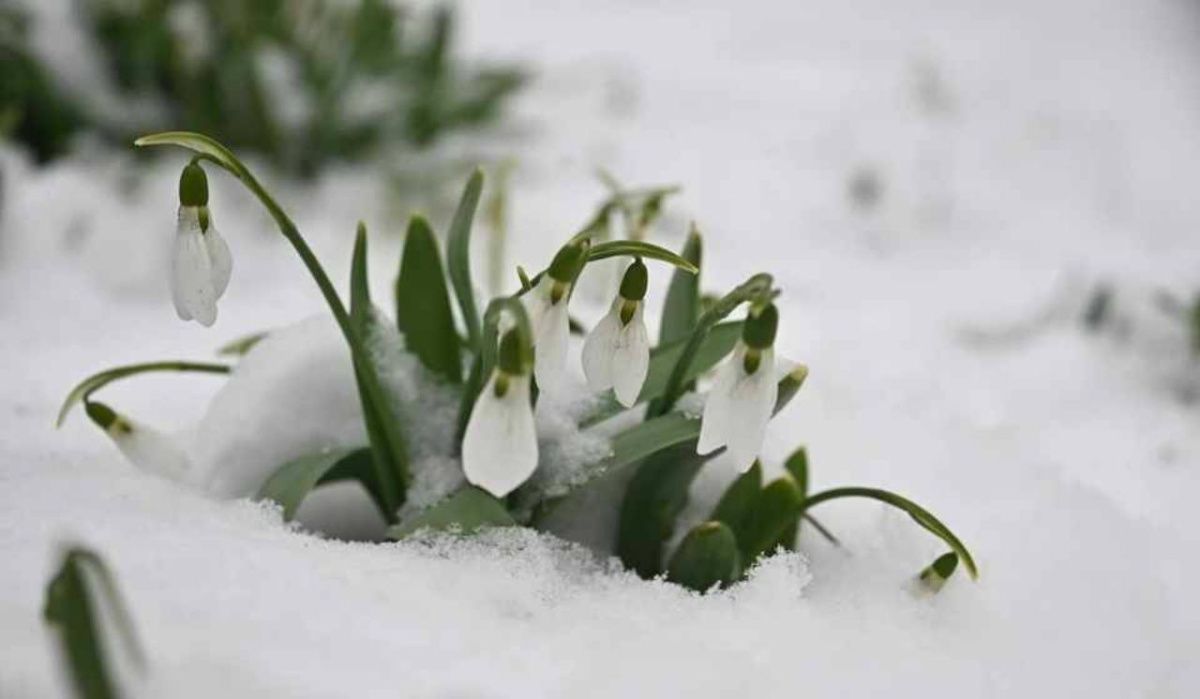 Жителей Новосибирской области ждёт резкое потепление к концу недели