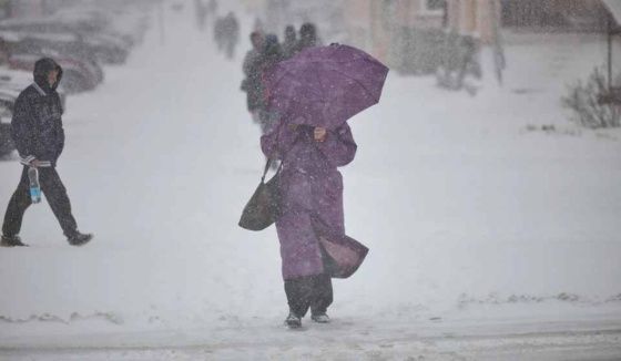 Надвигается сильный ветер: прогноз для Новосибирской области на выходные