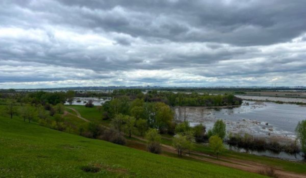 Глава гидрометцентра назвал сроки окончания дождей в Воронеже
