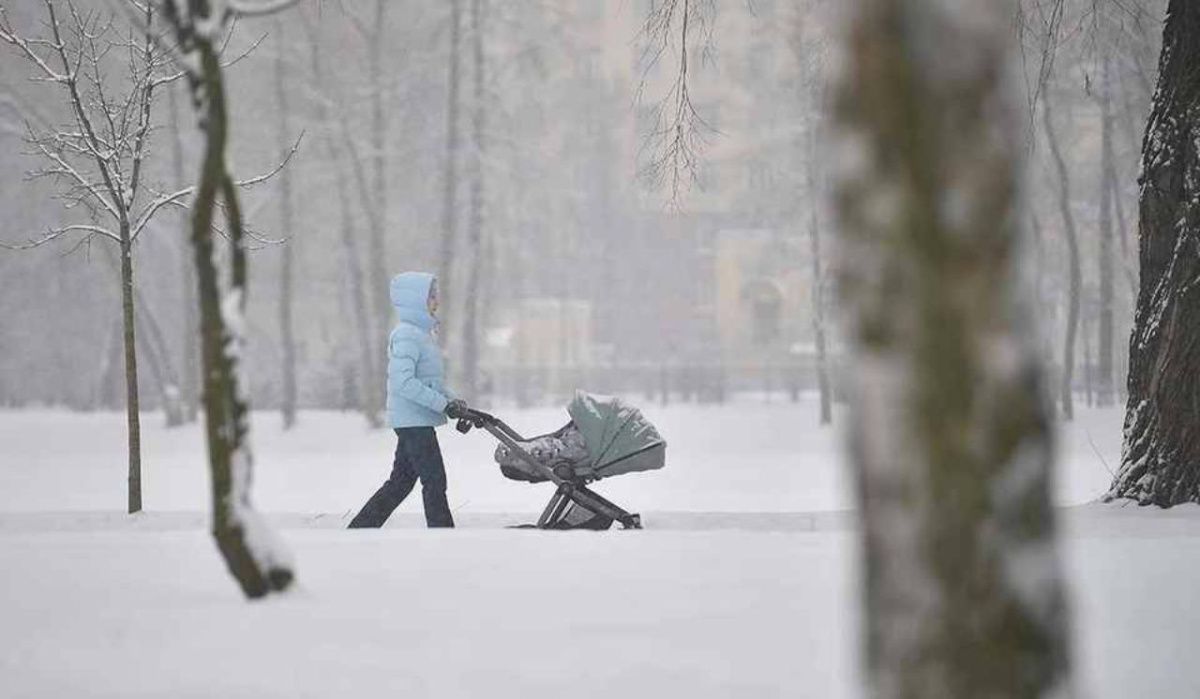 В Санкт-Петербурге планируют ввести новую меру социальной поддержки