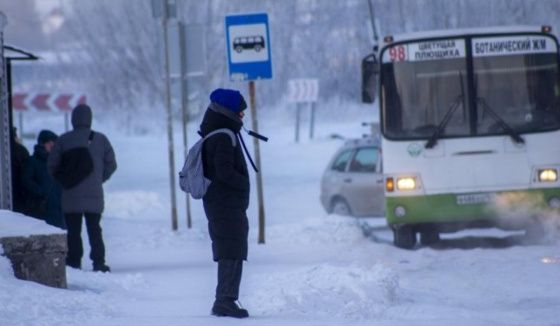 В Новосибирске сделают бесплатным проезд для школьников