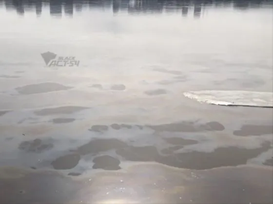 В Новосибирске река покрылась масляной пленкой