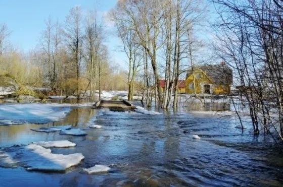 В Новосибирской области сотрудники  МЧС предупредили о риске возникновения ЧС из-за паводка
